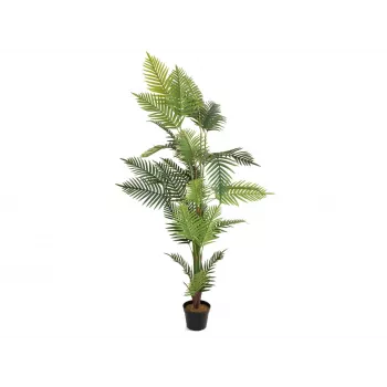 EUROPALMS Palma Areca pianta artificiale 180cm 82509415