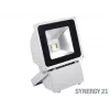 SYNERGY21 S21-LED-TOM01157 proiettore LED da esterno 80W corpo grigio luce fredda V3
