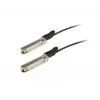 ALLNET Cavo Direct Attach in rame 25G SFP28, 1m, Twinax passivo, ALL4779-1