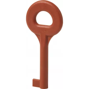 Siemens chiave di ricambio DMZ1195 per interruttori di sicurezza 3SE5 (BPZ:4851910001)