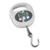 Kern HDB 30K-2XL bilancia a gancio, capacità 30 kg, leggibilità 20 g
