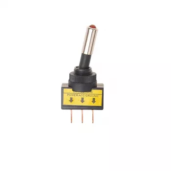 IWH Interruttore a bilanciere rosso 12 V 20 A (19023)