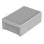 BOPLA EUROMAS II custodia a parete, ABS grigio chiaro RAL 7035, 170 x 271 x 90 mm 96036335