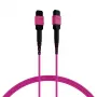 EFB cavo patch matrix MTP-F/MTP-F 36 fibre OM4, LSZH erika violet, tipo A, 25m MTPF36MTPFOM4-25-A