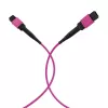EFB cavo patch matrix MTP-F/MTP-F 36 fibre OM4, LSZH erika violet, tipo A, 25m MTPF36MTPFOM4-25-A