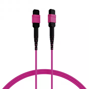 EFB cavo patch matrix MTP-F/MTP-F 36 fibre OM4, LSZH erika violet, tipo A, 30m MTPF36MTPFOM4-30-A
