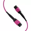 EFB cavo patch matrix MTP-F/MTP-F 36 fibre OM4, LSZH erika violet, tipo A, 30m MTPF36MTPFOM4-30-A