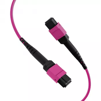 EFB cavo patch matrix MTP-F/MTP-F 36 fibre OM4, LSZH erika violet, tipo A, 30m MTPF36MTPFOM4-30-A