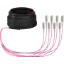 EFB Elektronik cavo trunk U-DQ ZN BH OM4 8G 1x8 SC-SC 30m Dca LSZH O8321S30OM4