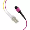 MPO-PLUS (F) su LC cavo trunk OM4 12 fibre tipo B LSZH Erika viola 2m MPOF12LCOM4-2