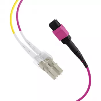 MPO-PLUS (F) su LC cavo trunk OM4 12 fibre tipo B LSZH Erika viola 2m MPOF12LCOM4-2
