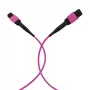 EFB Elektronik MPO-PLUS(F)-MPO-PLUS(F) OM4 12 fibre tipo B LSZH cavo patch, viola erica, 20 m MPOF12MPOFOM4-20