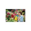 GLORIA Hobby 100 spruzzatore a pressione manuale 1,3 L blu giallo plastica ottone/plastica 3 bar 000015.0000