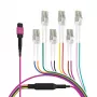 EFB Elektronik MPO-PLUS (F) su LC cavo trunk, OM4, 12 fibre, tipo B, LSZH, viola erica, 1 m MPOF12LCOM4-1
