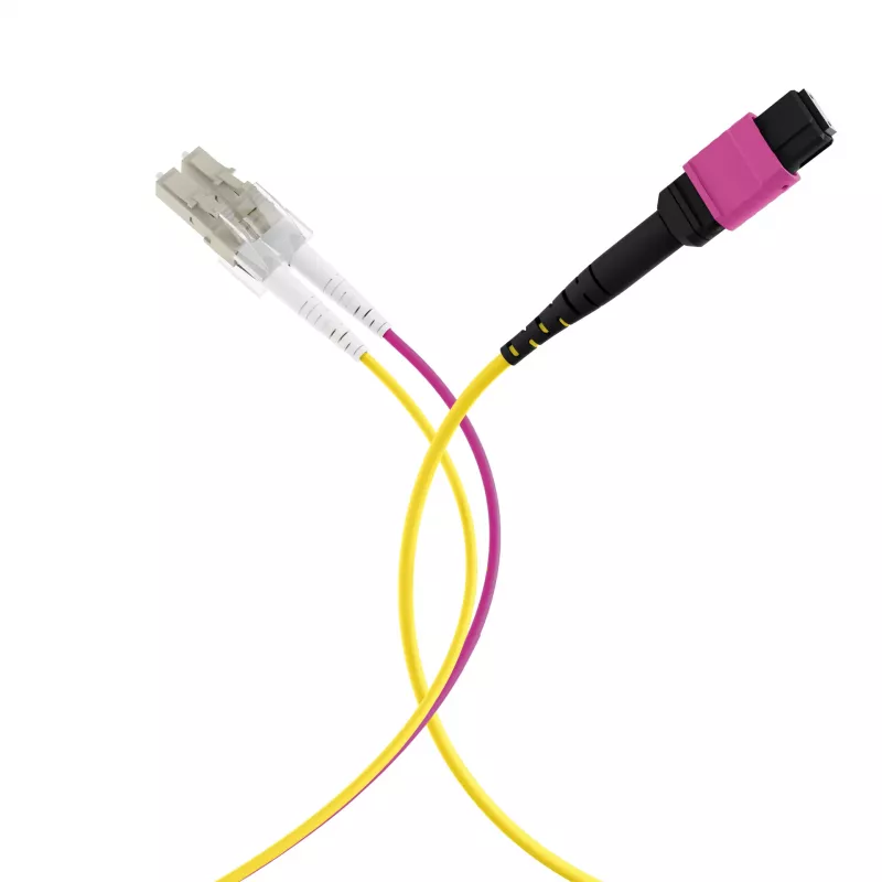 EFB Elektronik MPO-PLUS (F) su LC cavo trunk, OM4, 12 fibre, tipo B, LSZH, viola erica, 1 m MPOF12LCOM4-1