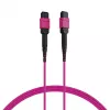 EFB Elektronik cavo patch MPO-PLUS(F)-MPO-PLUS(F) OM4 8 fibre tipo B LSZH erika violet 1 m MPOF8MPOFOM4-1