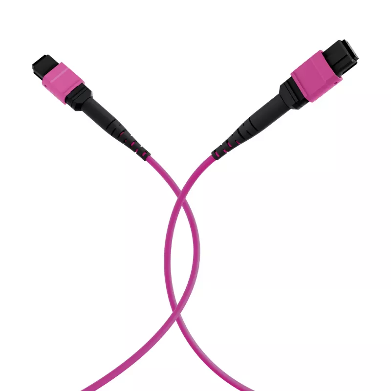 EFB Elektronik cavo patch MPO-PLUS(F)-MPO-PLUS(F) OM4 8 fibre tipo B LSZH erika violet 1 m MPOF8MPOFOM4-1