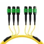 EFB MTPF48MTPFOS2-25-A cavo patch MTP APC monomodale OS2 48 fibre, 25 m, giallo