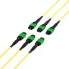 EFB MTPF48MTPFOS2-25-A cavo patch MTP APC monomodale OS2 48 fibre, 25 m, giallo
