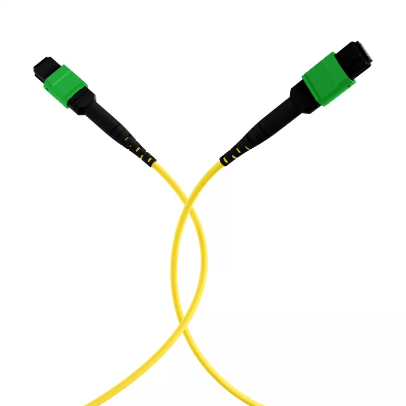 EFB MTPF48MTPFOS2-25-A cavo patch MTP APC monomodale OS2 48 fibre, 25 m, giallo