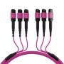 EFB Elektronik cavo patch matrix MTP-F/MTP-F 48 fibre OM4, LSZH erika viola, codice A, 25 m MTPF48MTPFOM4-25-A
