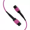 EFB Elektronik cavo patch matrix MTP-F/MTP-F 48 fibre OM4, LSZH erika viola, codice A, 25 m MTPF48MTPFOM4-25-A