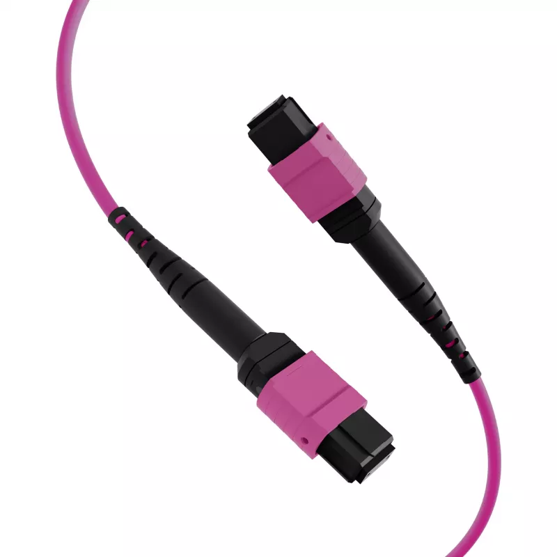 EFB Elektronik cavo patch matrix MTP-F/MTP-F 48 fibre OM4, LSZH erika viola, codice A, 25 m MTPF48MTPFOM4-25-A