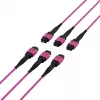 EFB Elektronik cavo patch matrix MTP-F/MTP-F 48 fibre OM4, LSZH erika viola, codice A, 25 m MTPF48MTPFOM4-25-A