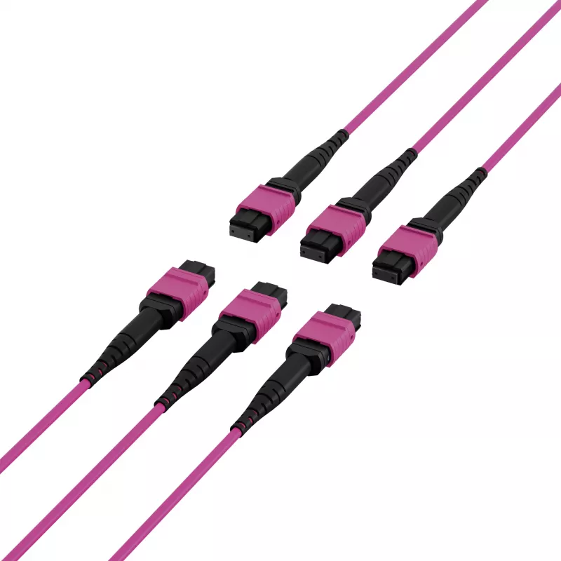 EFB Elektronik cavo patch matrix MTP-F/MTP-F 48 fibre OM4, LSZH erika viola, codice A, 25 m MTPF48MTPFOM4-25-A