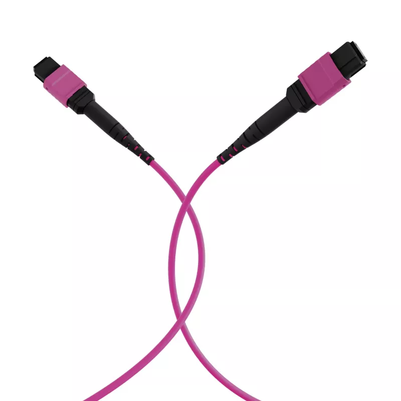 EFB Elektronik cavo patch matrix MTP-F/MTP-F 48 fibre OM4, LSZH erika viola, codice A, 25 m MTPF48MTPFOM4-25-A