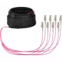 EFB Elektronik cavo trunk U-DQ ZN BH OM4 8G 1x8 LC-LC 10 m Dca LSZH O8322S10OM4