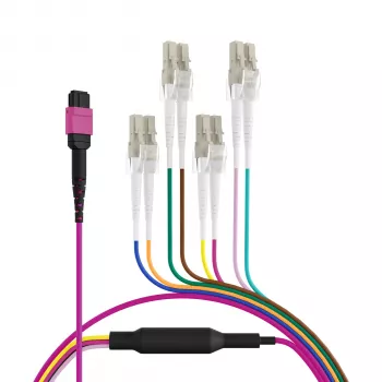 EFB Elektronik cavo trunk MPO-PLUS(F)-LC OM4 8 fibre tipo B LSZH viola erica 2m MPOF08LCOM4-2