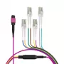 EFB Elektronik cavo trunk MPO-PLUS(F)-LC OM4 8 fibre tipo B LSZH viola erica 2m MPOF08LCOM4-2