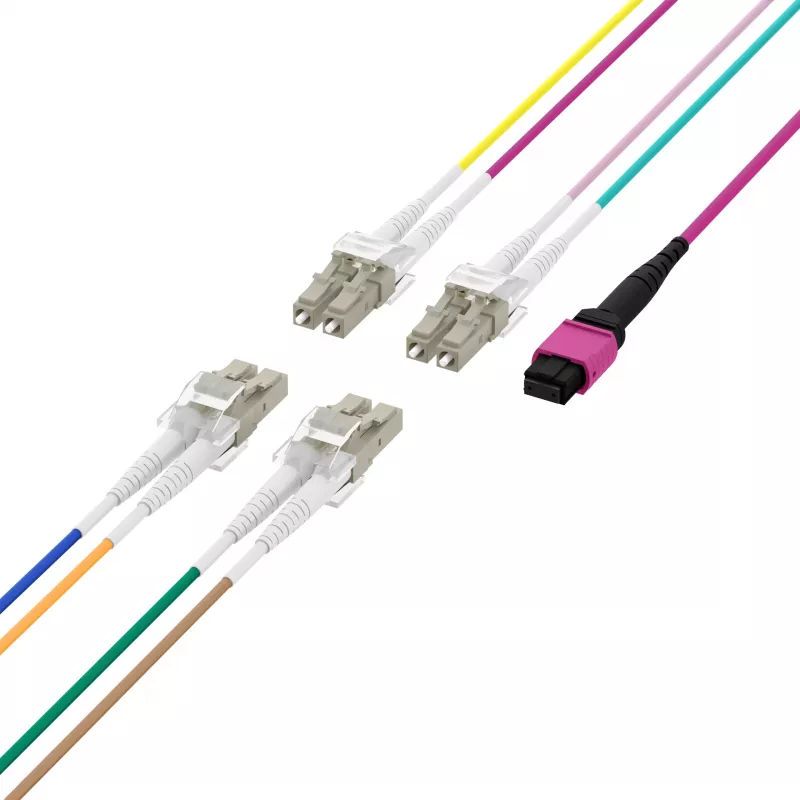 EFB Elektronik cavo trunk MPO-PLUS(F)-LC OM4 8 fibre tipo B LSZH viola erica 2m MPOF08LCOM4-2