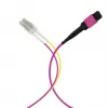 EFB Elektronik cavo trunk MPO-PLUS(F)-LC OM4 8 fibre tipo B LSZH viola erica 2m MPOF08LCOM4-2