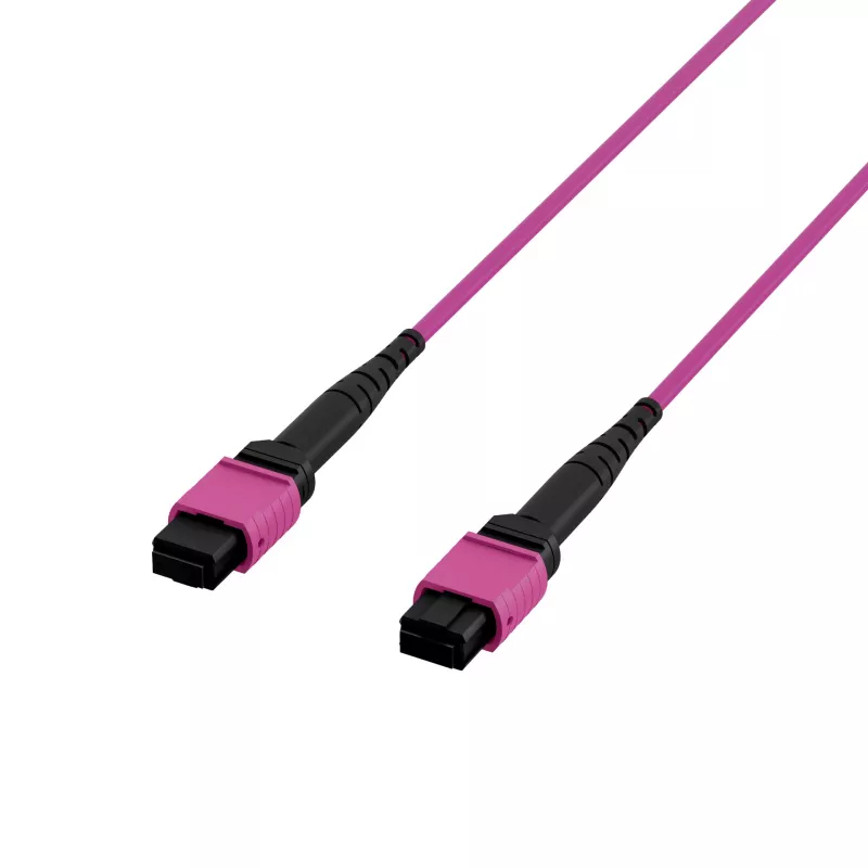 EFB Elektronik cavo patch MPO-PLUS(F)-MPO-PLUS(F) OM4 8 fibre Type-B LSZH viola erika 5 m MPOF8MPOFOM4-5