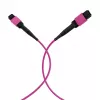 EFB Elektronik cavo patch MPO-PLUS(F)-MPO-PLUS(F) OM4 8 fibre Type-B LSZH viola erika 5 m MPOF8MPOFOM4-5
