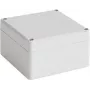 Bopla EM 210 custodia universale 82 x 80 x 57 mm policarbonato grigio chiaro RAL 7035 62210000