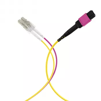 EFB Elektronik MPOF12LCOM4-5 cavo trunk MPO-PLUS (F) su LC duplex, OM4, 12 fibre, Type-B, LSZH, viola erika, 5 m
