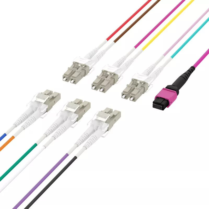 EFB Elektronik MPOF12LCOM4-5 cavo trunk MPO-PLUS (F) su LC duplex, OM4, 12 fibre, Type-B, LSZH, viola erika, 5 m