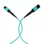 EFB Elektronik cavo patch MPO-PLUS female a MPO-PLUS female, OM3 multimode, 12 fibre, Type-B, LSZH aqua, 5 m MPOF12MPOFOM3-5