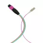 EFB Elektronik MPO-PLUS (M)-LC cavo fanout OM4 12 fibre Type-B LSZH viola erika 1 m MPOM12LCOM4-1