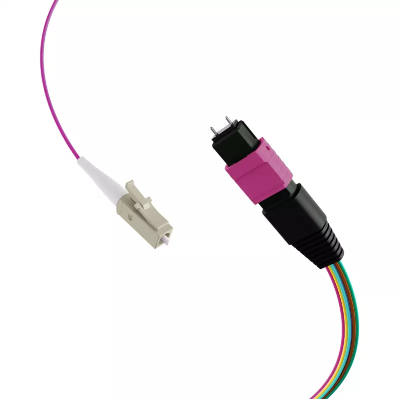 EFB Elektronik MPO-PLUS (M)-LC cavo fanout OM4 12 fibre Type-B LSZH viola erika 1 m MPOM12LCOM4-1