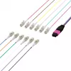 EFB Elektronik MPO-PLUS (M)-LC cavo fanout OM4 12 fibre Type-B LSZH viola erika 1 m MPOM12LCOM4-1