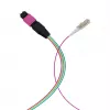 EFB Elektronik MPO-PLUS (M)-LC cavo fanout OM4 12 fibre Type-B LSZH viola erika 1 m MPOM12LCOM4-1