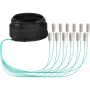 EFB Elektronik cavo trunk U-DQ ZN BH OM3 12G 1x12 SC-SC 30m Dca LSZH O8341S30OM3