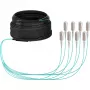 EFB Elektronik cavo trunk U-DQ ZN BH OM3 8G 1x8 SC-SC 30m Dca LSZH - 30 m O8321S30OM3