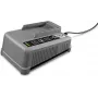 Kärcher Professional Battery Power+ caricabatterie rapido 2.445-045.0