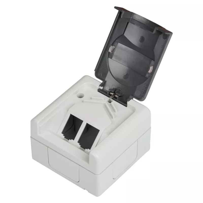EFB ET-25020 scatola vuota da parete per ambienti umidi per 2 moduli keystone, IP44, grigio