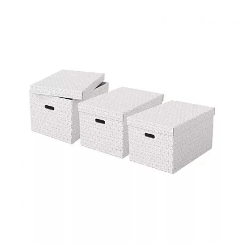 Esselte Home Scatola portaoggetti L, set da 3, bianco, 628286